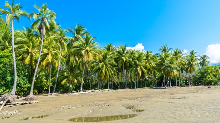 Plage de sable blanc du parc national Marino Ballena