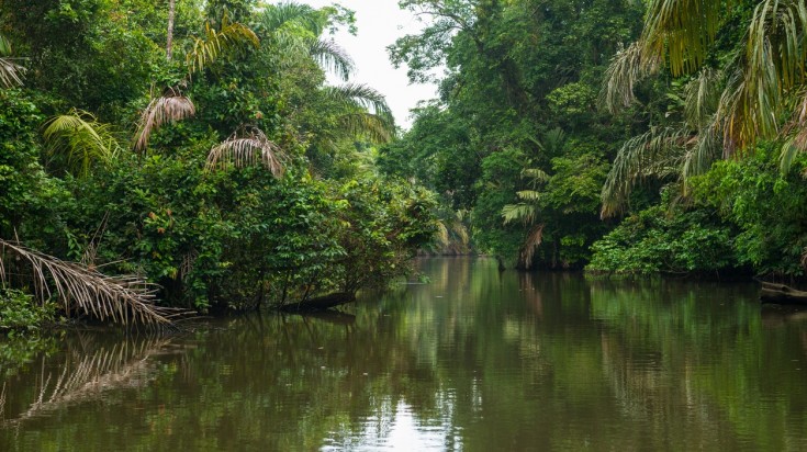 Kayak sur un canal de Tortuguero