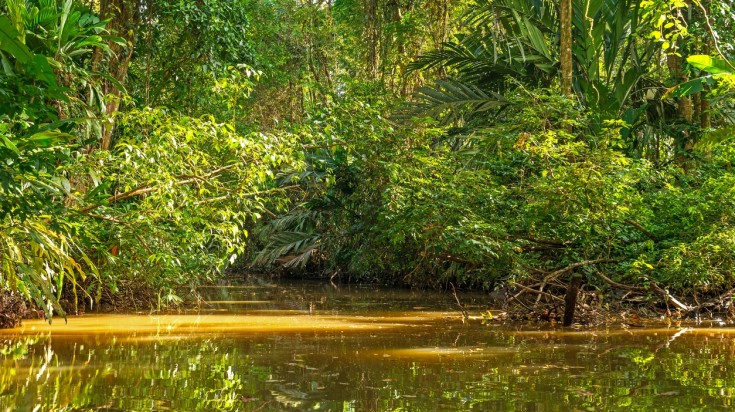 Canal de pêche à Tortuguero