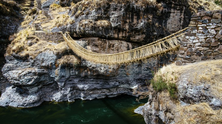Perroquets sur un banc d’argile en Amazonie