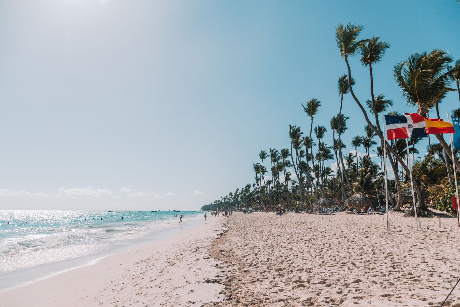 Plage de Punta Cana bordée de cocotiers, en République dominicaine