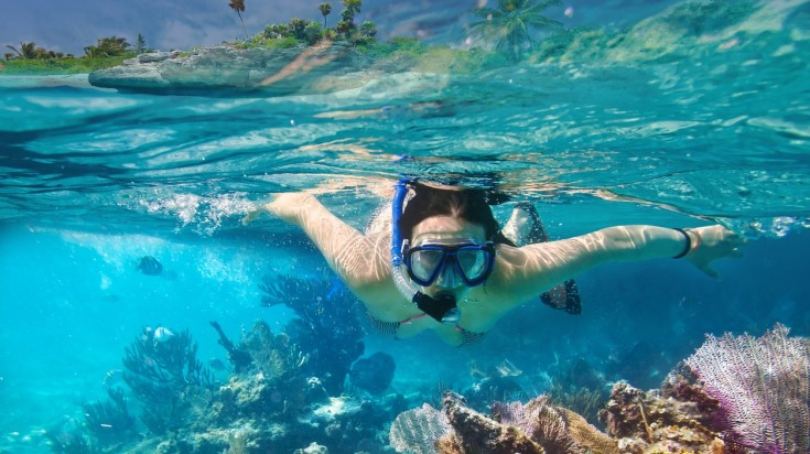 Raie manta dans les eaux du Pacifique