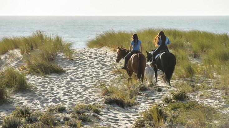 Balade à cheval sur la plage