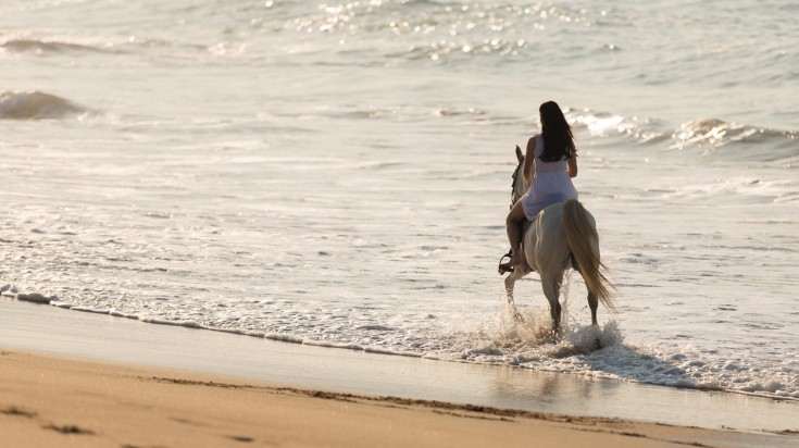 Balade à cheval près de Playa Conchal