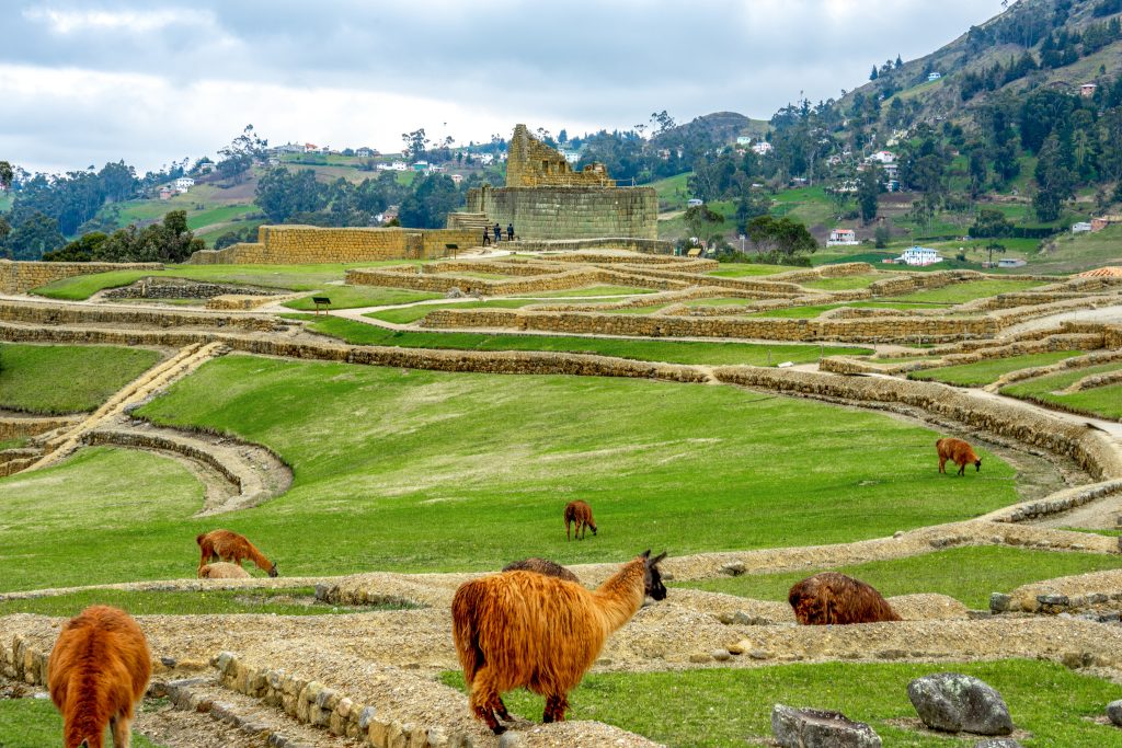 Marché artisanal d’Otavalo