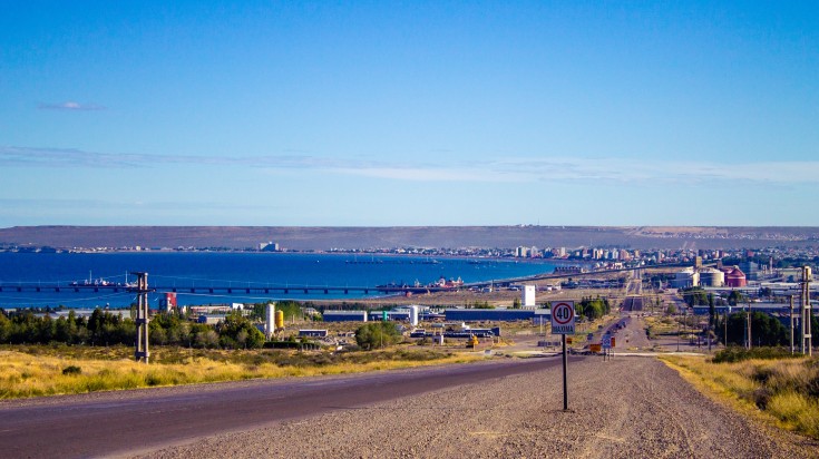 Faune marine de la côte de Patagonie