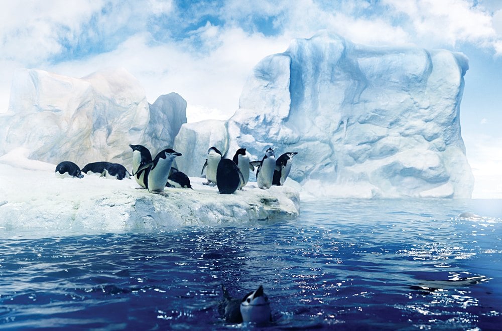 Icebergs et paysage de glace en Antarctique