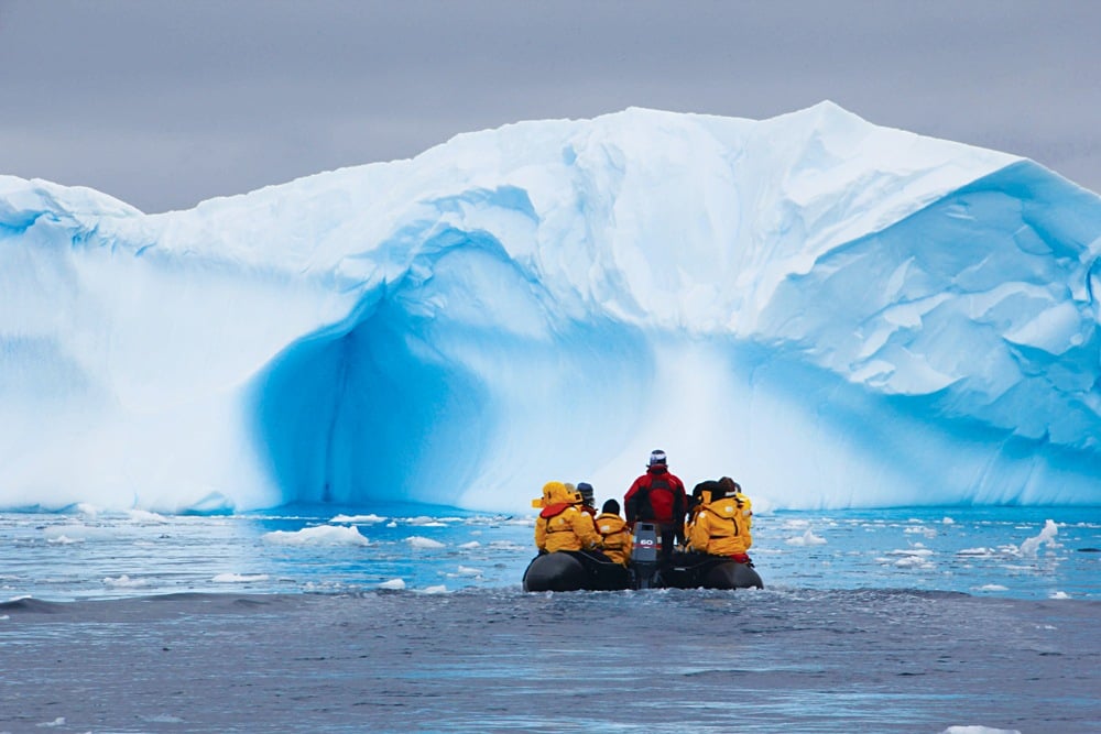 Colonie de manchots en Antarctique