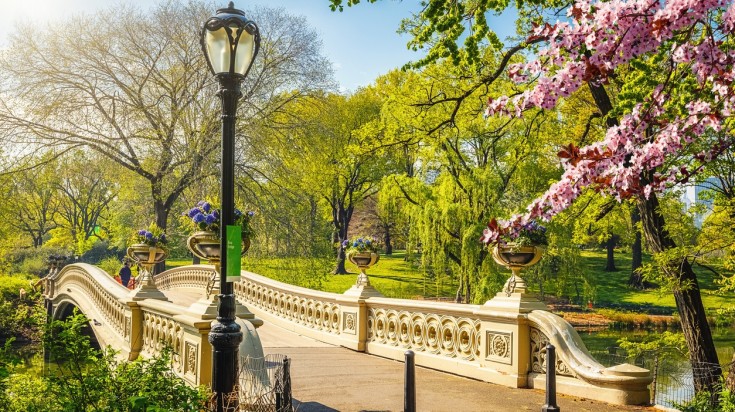 Vue de New York