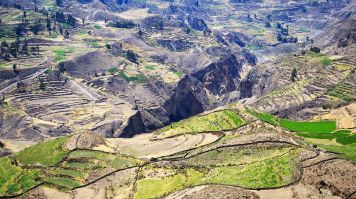 Canyon de Colca au Pérou