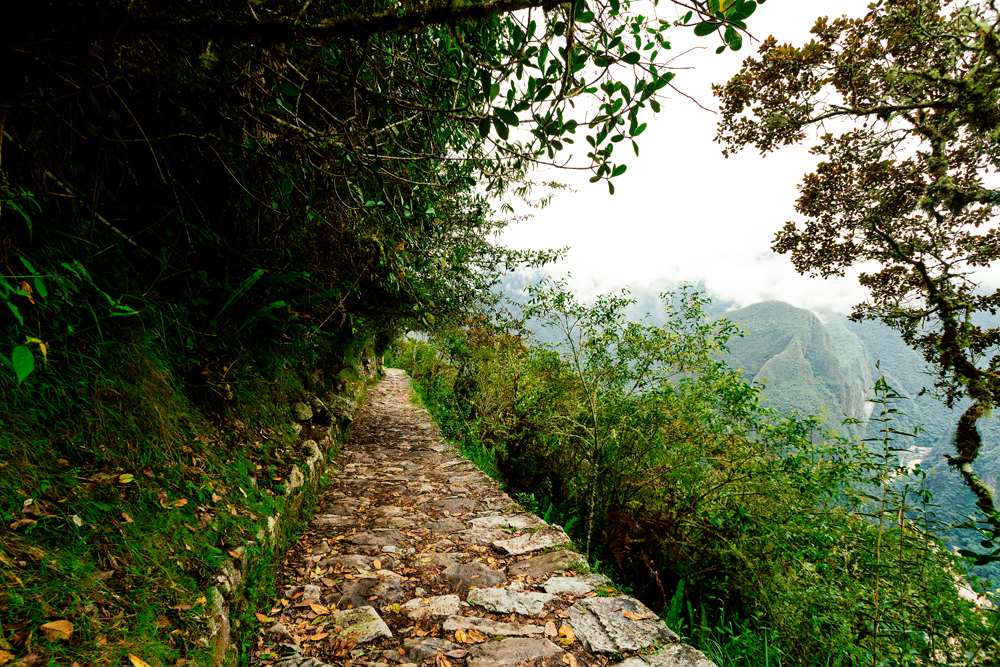 Sentier pavé du Chemin de l’Inca dans la forêt de nuages, avec les montagnes du Machu Picchu dans la brume
