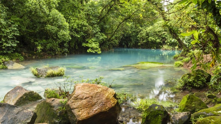 Eaux turquoise du Rio Celeste dans le parc national du volcan Tenorio