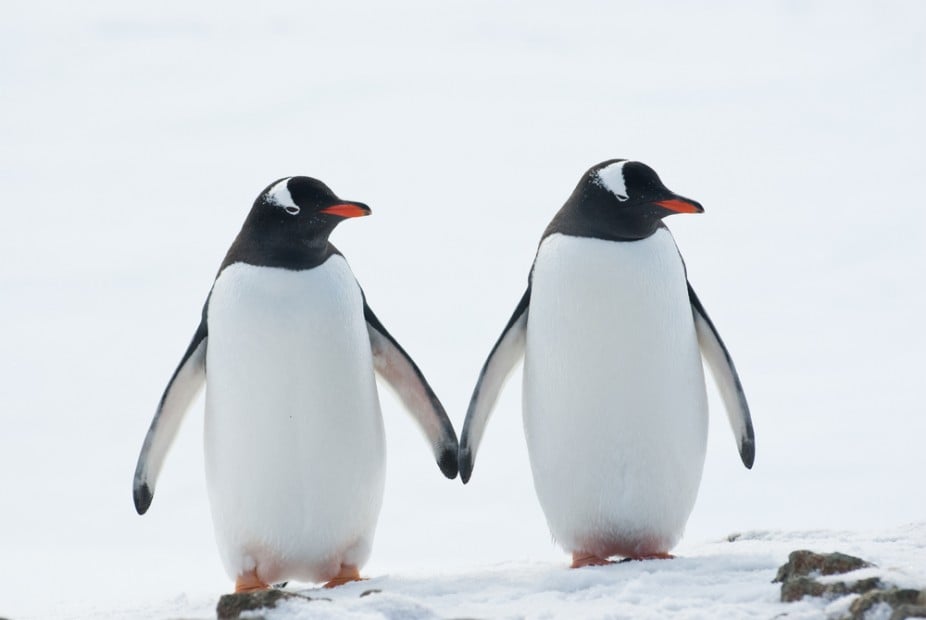 Couple en voyage romantique en Amérique latine