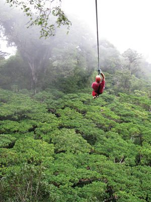 Forêt tropicale verdoyante du Costa Rica en saison des pluies