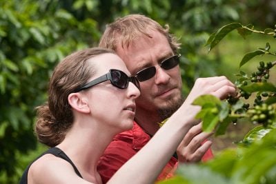 Forêt tropicale verdoyante du Costa Rica en saison des pluies
