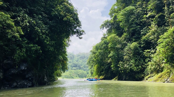 Rivière Sarapiquí et forêt tropicale au Costa Rica