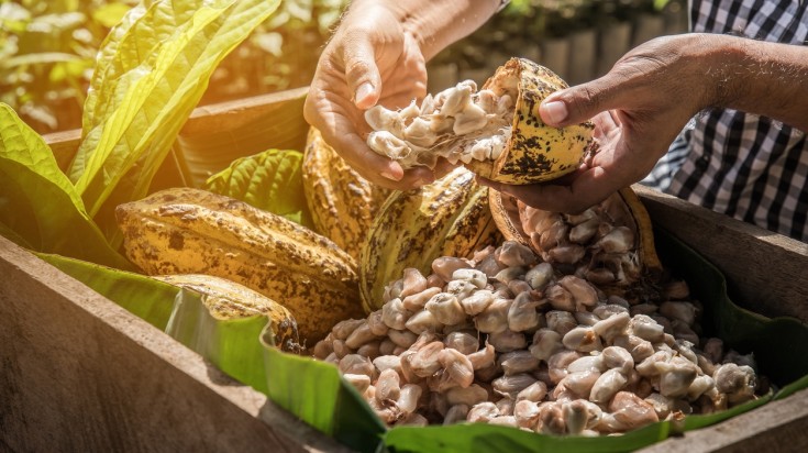 Rivière Sarapiquí et forêt tropicale au Costa Rica
