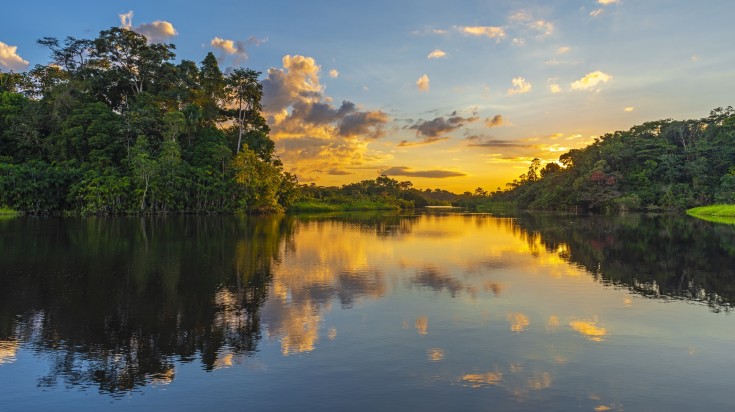 Paysage emblématique du Brésil, de la côte aux grandes forêts