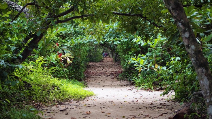 Plage et forêt du parc national de Cahuita, sur la côte caraïbe du Costa Rica