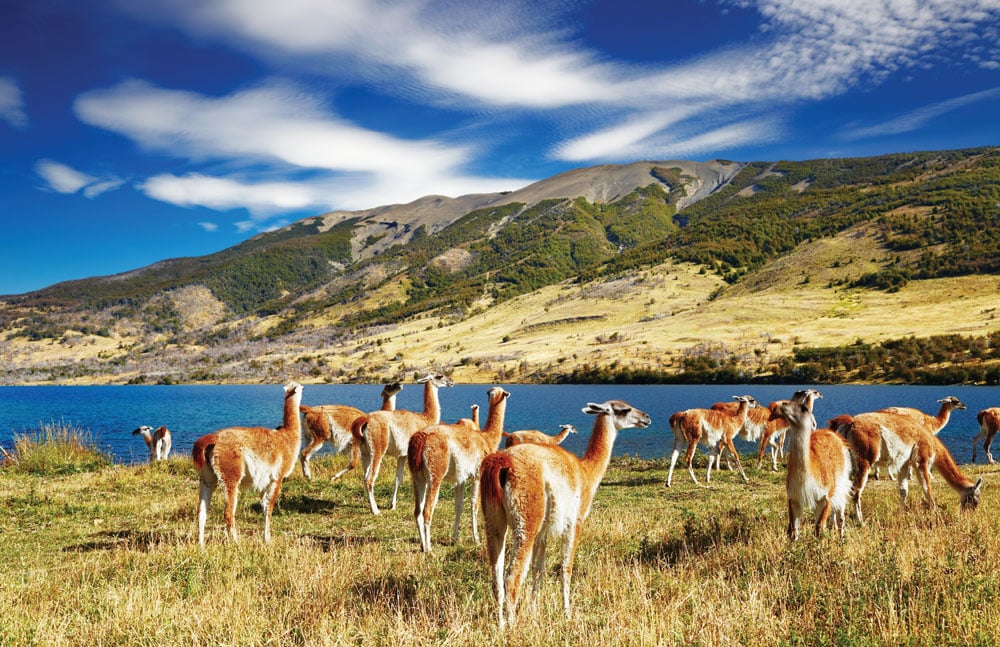 Site spectaculaire d’Amérique du Sud