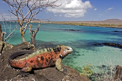 Paysages de randonnée entre Colombie, Galápagos et Géorgie du Sud