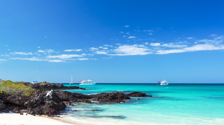 Otarie sur une plage des îles Galápagos