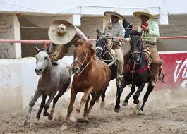 Charros à cheval en pleine épreuve lors d’une charreada