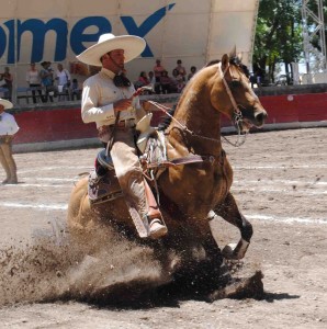 Cavaliers et chevaux lors d’une démonstration de charrería