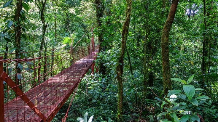 Famille en vacances dans la nature au Costa Rica
