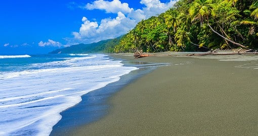 Plage sauvage de sable gris bordée de palmiers et de forêt tropicale au Costa Rica