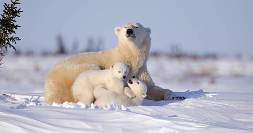 Voyage Manitoba en Canada – Vacances, séjour et circuits