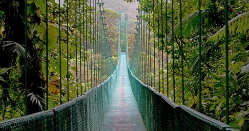 Forêt de nuages de Monteverde, au Costa Rica