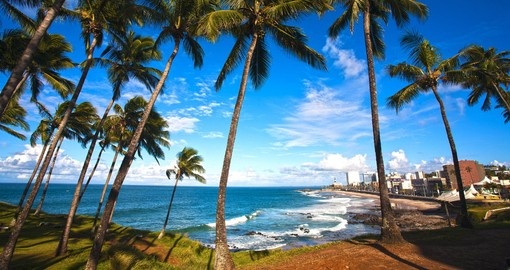 Cocotiers et vagues sur le littoral de Salvador de Bahia, avec la ville en arrière-plan
